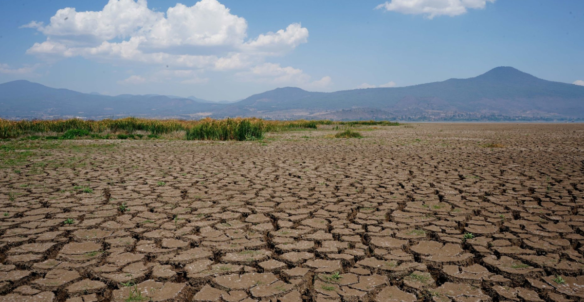 un tribunal latinoamericano juzga el mayor caso hasta la fecha